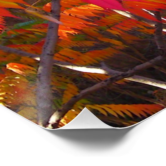 Poster parfait Red Leaf Tree (Coin)