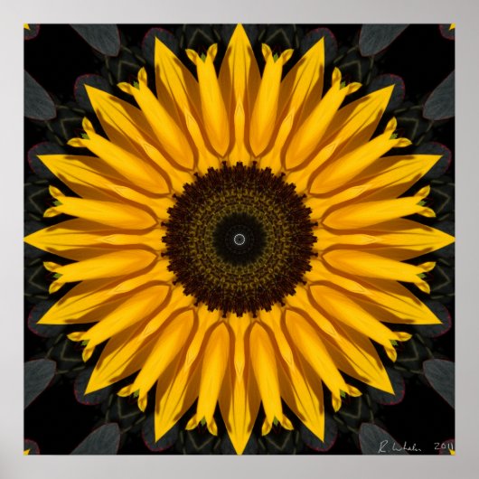 Poster Parfait tournesol (Devant)