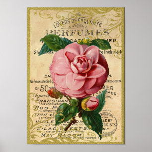 Poster Parfum antique de roses