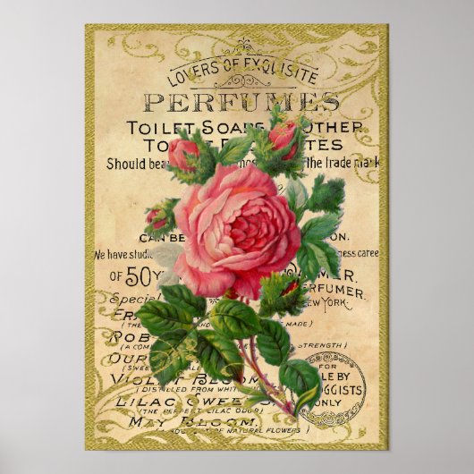 Poster Parfum de roses antiques (Devant)