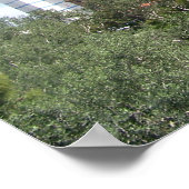 Poster Paris Casino Las Vegas, NV (Coin)