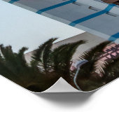 Poster Paris Las Vegas à la nuit Carte postale (Coin)