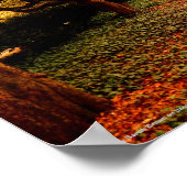 Poster Park, NYC Central Park, (Coin)