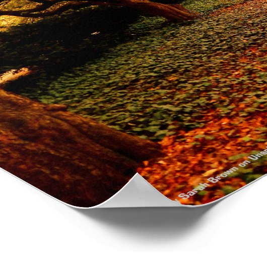 Poster Park, NYC Central Park, (Coin)