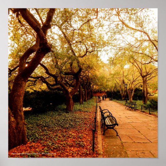Poster Park, NYC Central Park, (Devant)