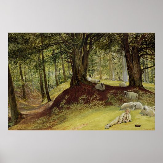 Poster Parkhurst Woods, Abinger, Surrey (Devant)