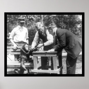 Poster Parler à Orangutan 1920