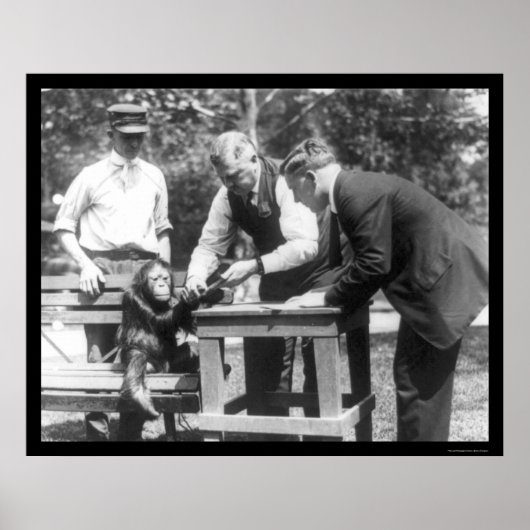 Poster Parler à Orangutan 1920 (Devant)