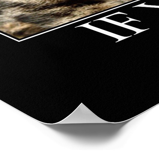 Poster Parler de Catnip Artwork (Coin)