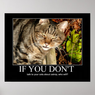 Poster Parler de Catnip Artwork
