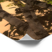 Poster Parmi Les Arbres (Coin)