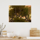 Poster Parmi Les Arbres (Cuisine)