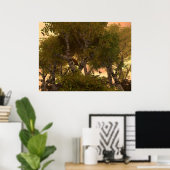 Poster Parmi Les Arbres (Bureau à domicile)