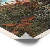 Poster Parmi les lillies et palmiers de Floride (Coin)