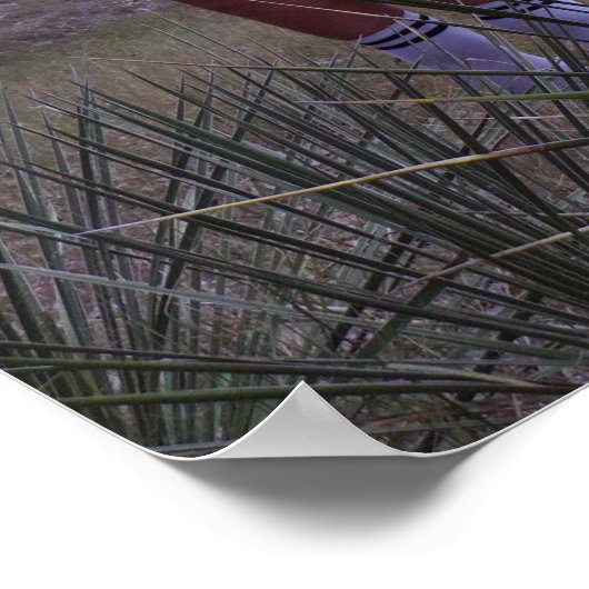 Poster Parmi Les Plantes du Yucca (Coin)