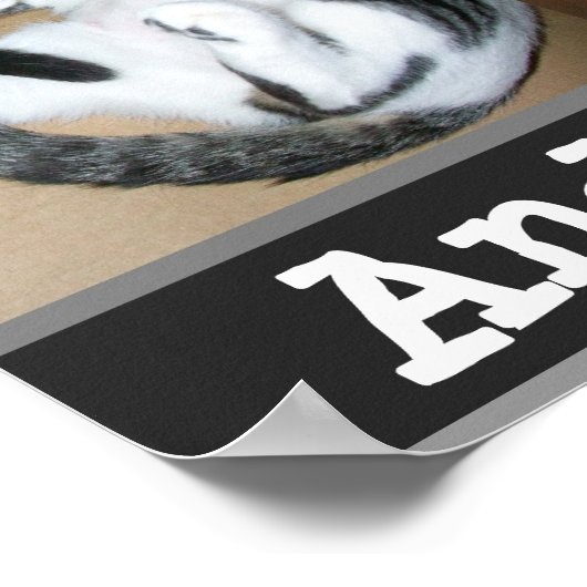 Poster Parodié et fier de lui (Coin)