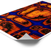 Poster paroi cellulaire (Coin)