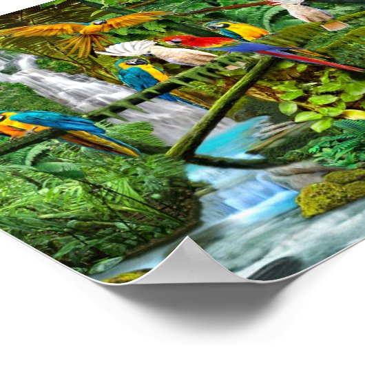 POSTER PAROIS EN PARADIS (Coin)