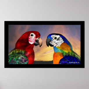 POSTER PARROS HYPER / ARBRE ROUGE ET BLEU