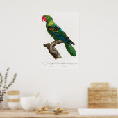 Poster Parrot (Cuisine)