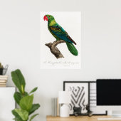 Poster Parrot (Bureau à domicile)