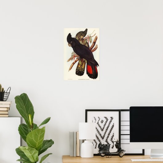 Poster Parrot (Bureau à domicile)
