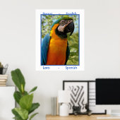 Poster Parrot anglais, Loro espagnol (Bureau à domicile)