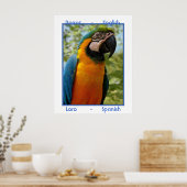 Poster Parrot anglais, Loro espagnol (Cuisine)