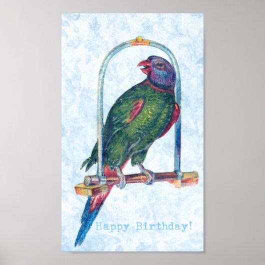 Poster Parrot d'anniversaire (Devant)