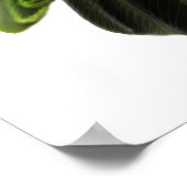 Poster Parrot de Jardines convivial Imprimer (Coin)