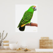 Poster Parrot de Jardines convivial Imprimer (Cuisine)