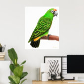 Poster Parrot de Jardines convivial Imprimer (Bureau à domicile)