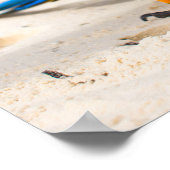 Poster Parrot de plage (Coin)