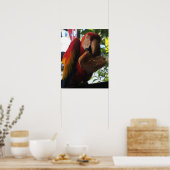 Poster Parrot Macaw Scarlet Manger Toast (Cuisine)