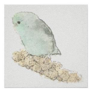 Poster Parrotlet Turquoise sur Aquarelle Millet
