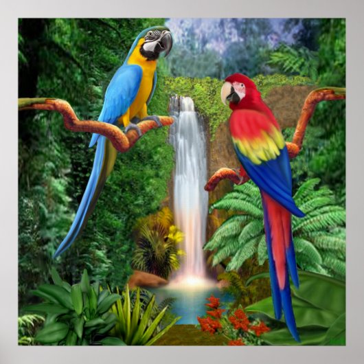 Poster Parrots tropicaux de Macaw (Devant)