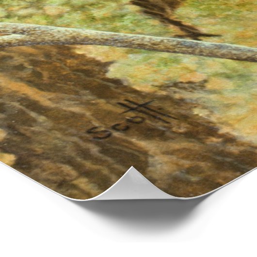 Poster Partager les soins 2011 (Coin)