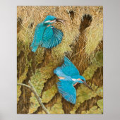 Poster Partager les soins 2011 (Devant)