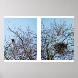 Poster Partenaires de vie