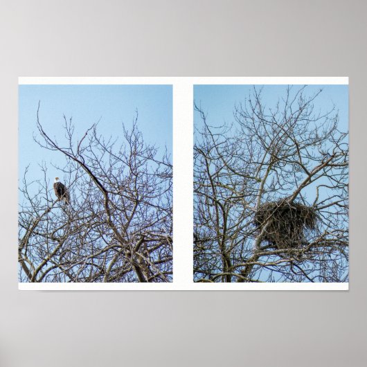 Poster Partenaires de vie (Devant)