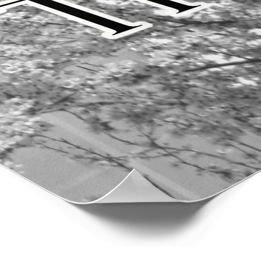 Poster Partez en avant et conquérir le chat motivationnel (Coin)