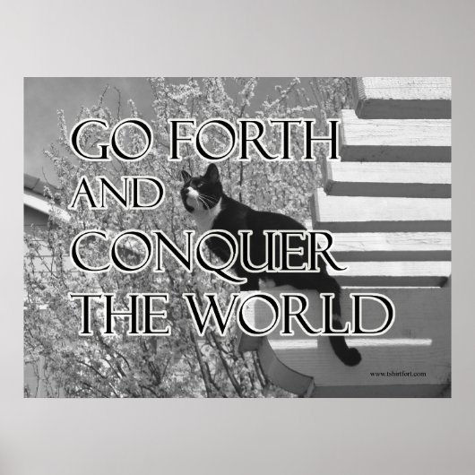 Poster Partez en avant et conquérir le chat motivationnel (Devant)