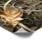 Poster Parti Pêcher (Coin)