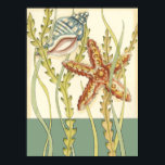 Poster Partie Shell multicolore<br><div class="desc">Charikilia Zarris est une artiste talentueuse connue pour ses oeuvres d'art océaniques. Ses images sont paisibles et calmes vous relaxant avec chaque photo. Obtenez cette oeuvre d'art nautique avec une étoile de mer et une coquille Conch étant le centre de tout, bordé de belle varech. Cette image sera très belle...</div>