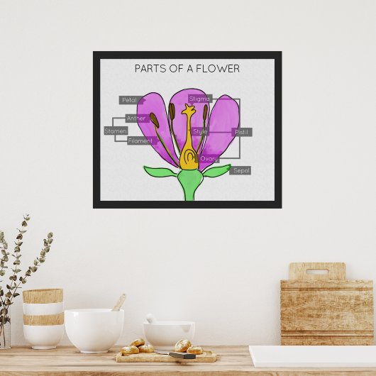 Poster Parties d'une fleur (Cuisine)