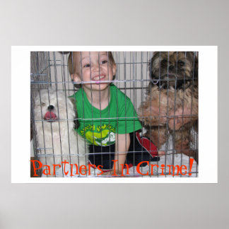 Poster Partners In Crime!