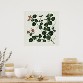 Poster Partridgine (Cuisine)