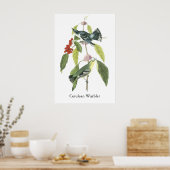 Poster Paruline de Cérulean, John Audubon (Cuisine)