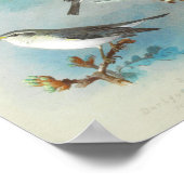 Poster Paruline et Wrens, (Coin)