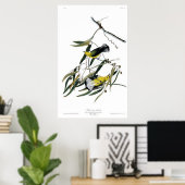 Poster Paruline protonotaire (Bureau à domicile)